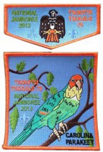 Tsoiotsi Tsogalii Lodge 70 2013 jambo patch